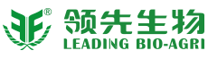 星空 体育